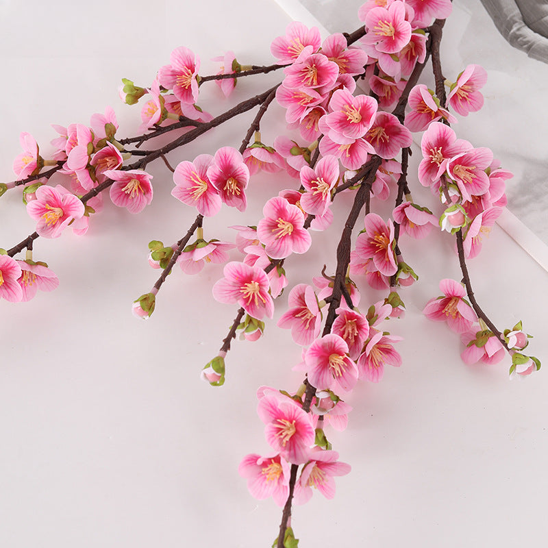 Cherry blossom, with buds, special texture, 23080601