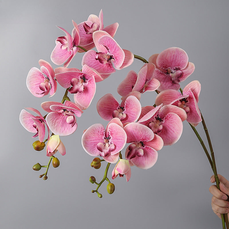 Phalaenopsis, Top quality, real texture artificial flower, 2106300