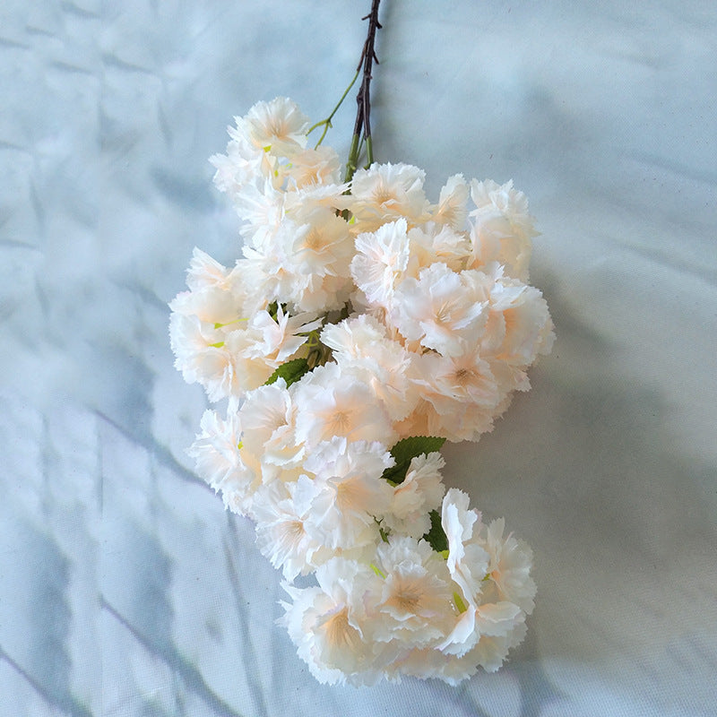 Cherry blossom, dazzle cherry blossom, regular texture, 3268061