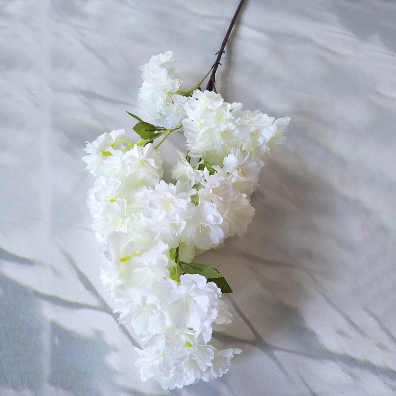 Cherry blossom, dazzle cherry blossom, regular texture, 3268061