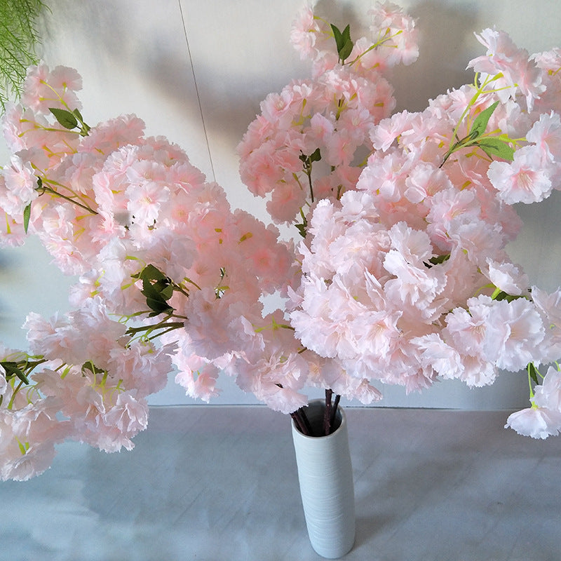 Cherry blossom, dazzle cherry blossom, regular texture, 3268061