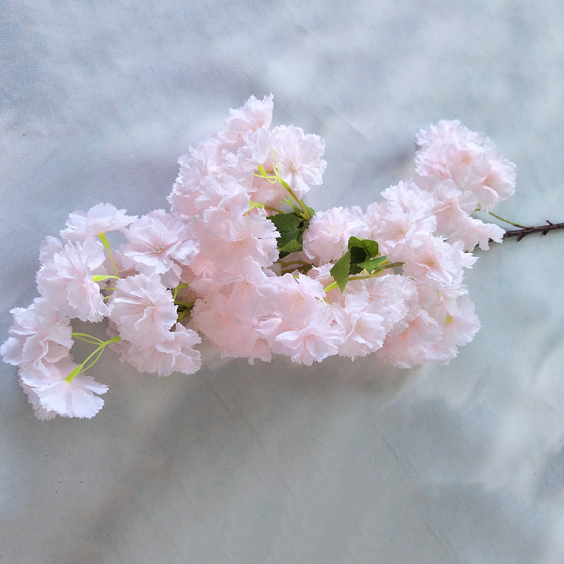 Cherry blossom, dazzle cherry blossom, regular texture, 3268061