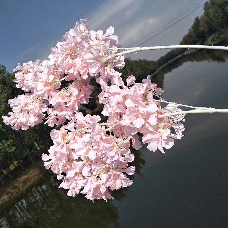 Cherry blossom, white stem snow, regular texture, 3268059