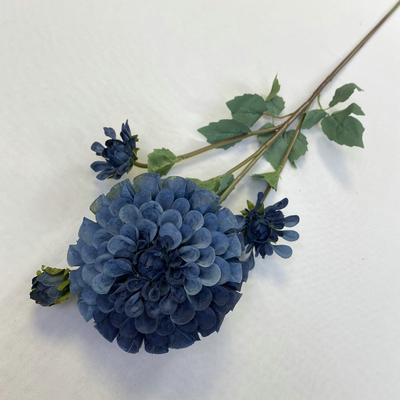 Chinese Dahlia, all colors, regular texture, 3568059