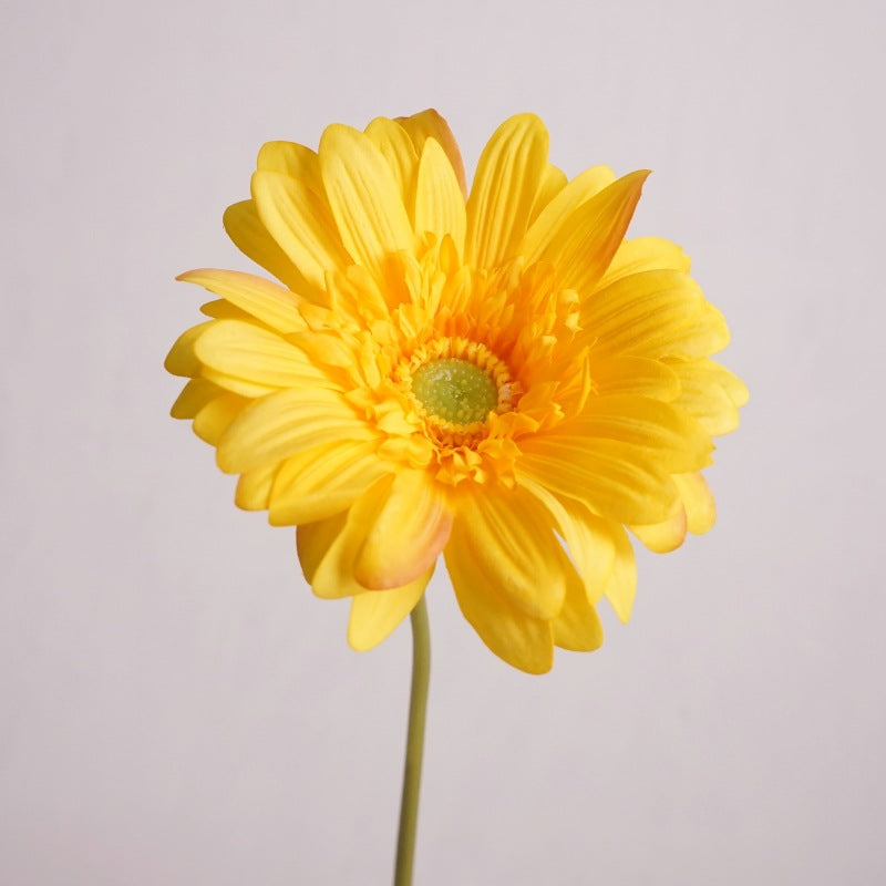 Daisy, large African daisy, real texture artificial flower, 519786