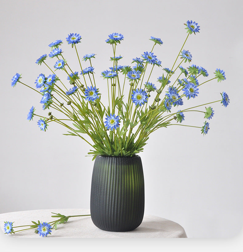 Aster, small daisy, all color, regular texture, 736205