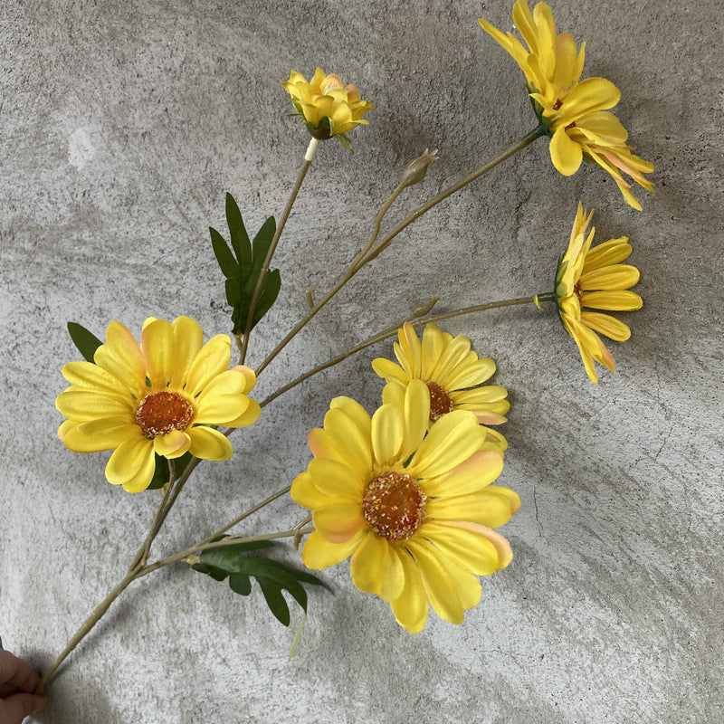 Daisy, 6 heads, regular texture, 10919201630