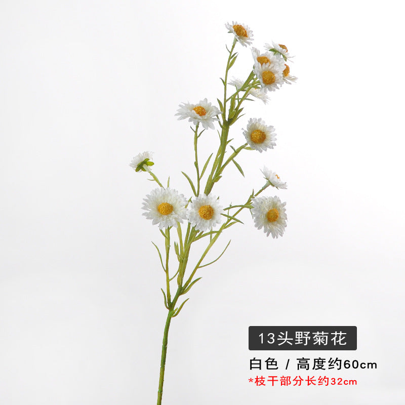 Aster, small daisy, 13heads, yellow core, regular texture, 736206