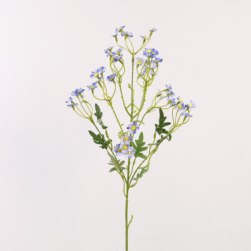 Aster, small daisy, yellow core, regular texture, 56092
