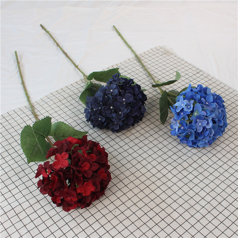 Hydrangeas, all colors, regular texture, 284619
