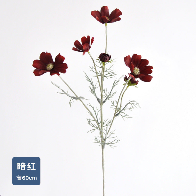 Daisy, garden cosmos, 6 heads, regular texture, 736204