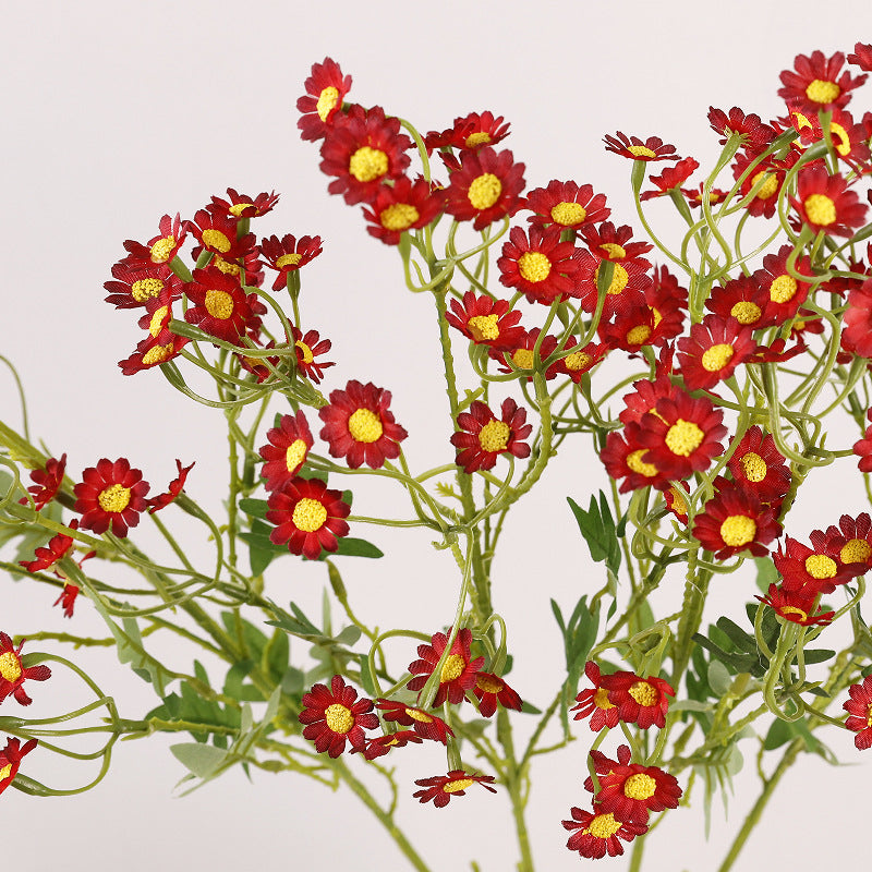 Aster, small daisy, yellow core, regular texture, 56092