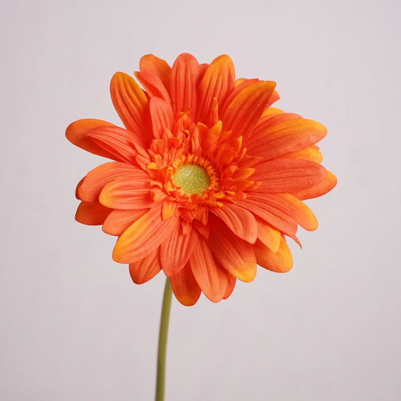 Daisy, large African daisy, real texture artificial flower, 519786