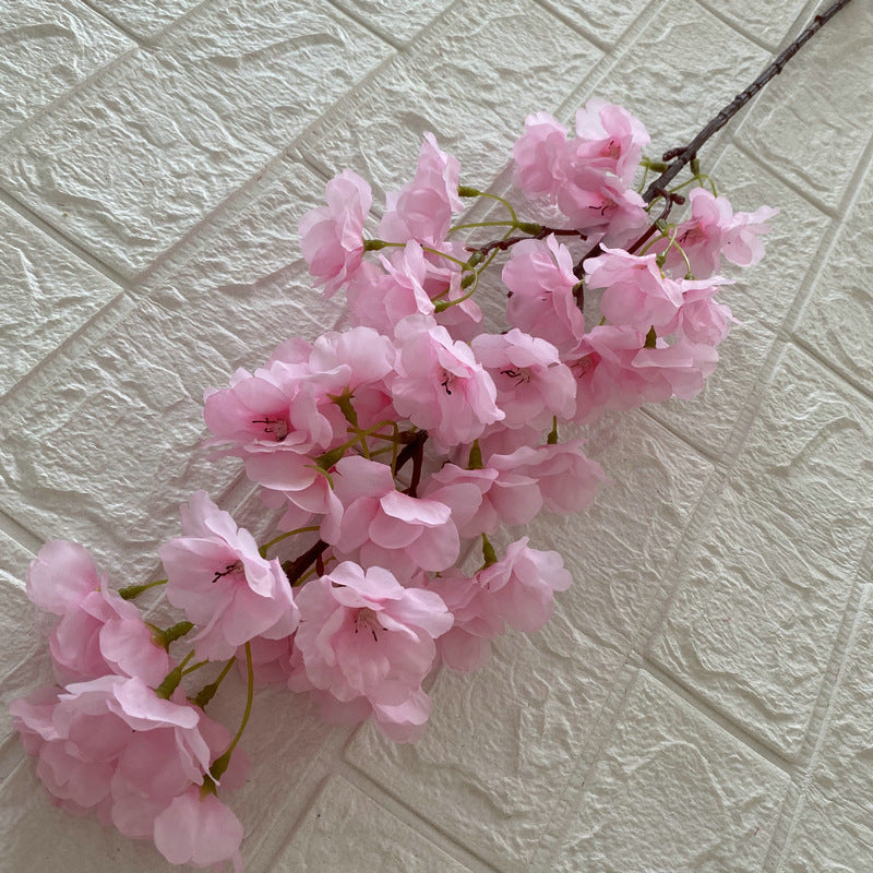 Cherry blossom, countryside style, regular texture, 21791616321