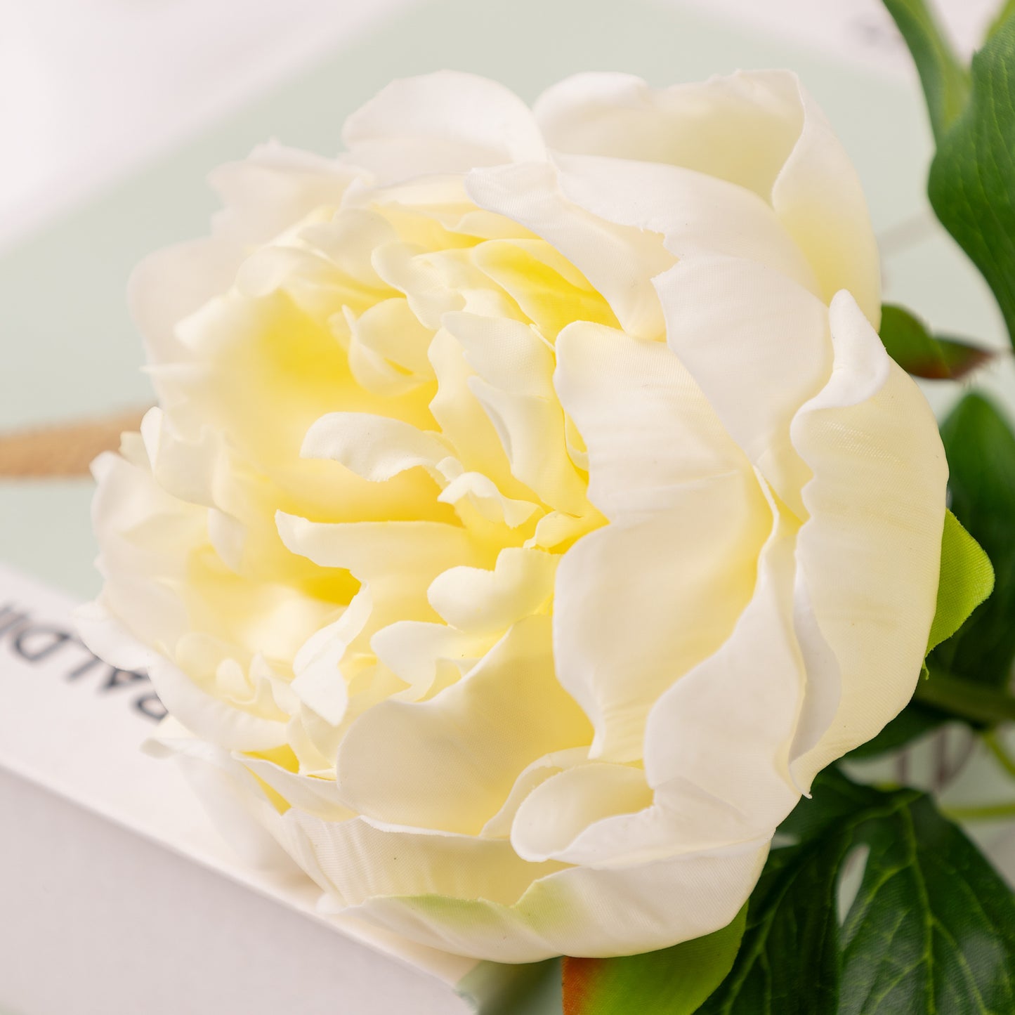 Peony, 1 head, MOQ 100 each color, real texture artificial flower, 3401P