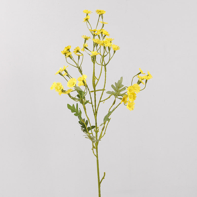 Aster, small daisy, yellow core, regular texture, 56092