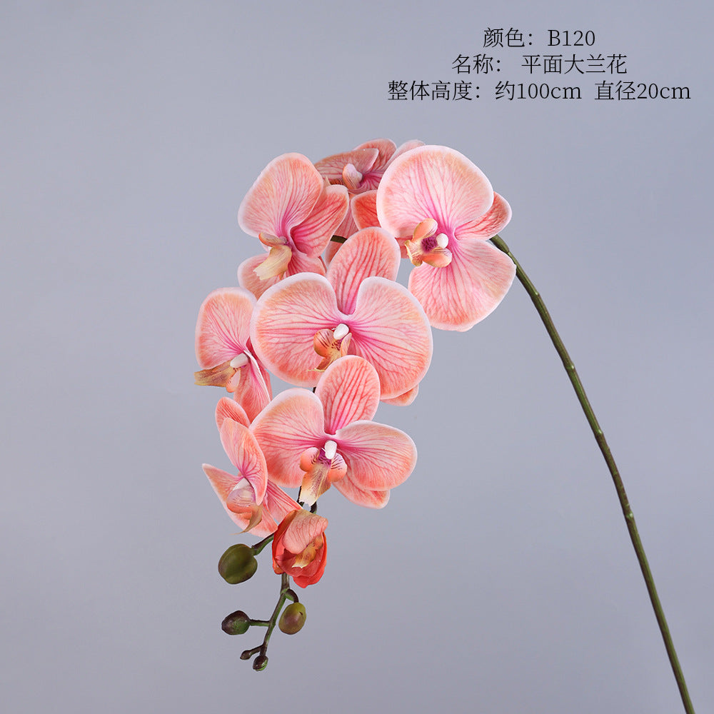 Phalaenopsis, Top quality, real texture artificial flower, 2106300