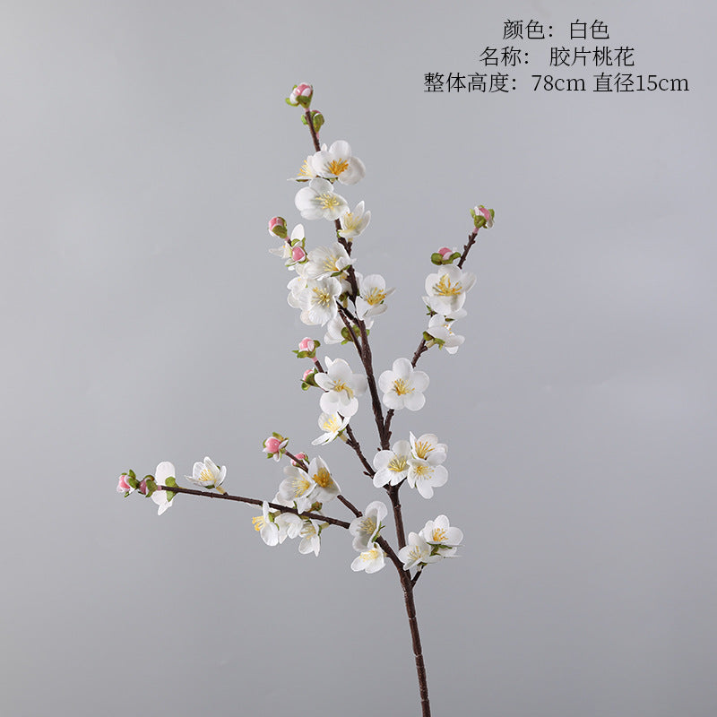 Cherry blossom, with buds, special texture, 23080601