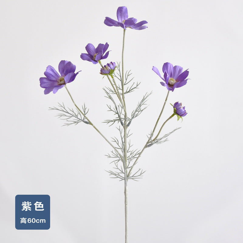Daisy, garden cosmos, 6 heads, regular texture, 736204