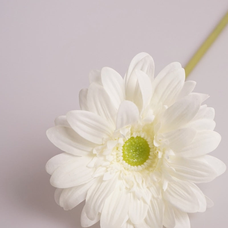 Daisy, large African daisy, real texture artificial flower, 519786