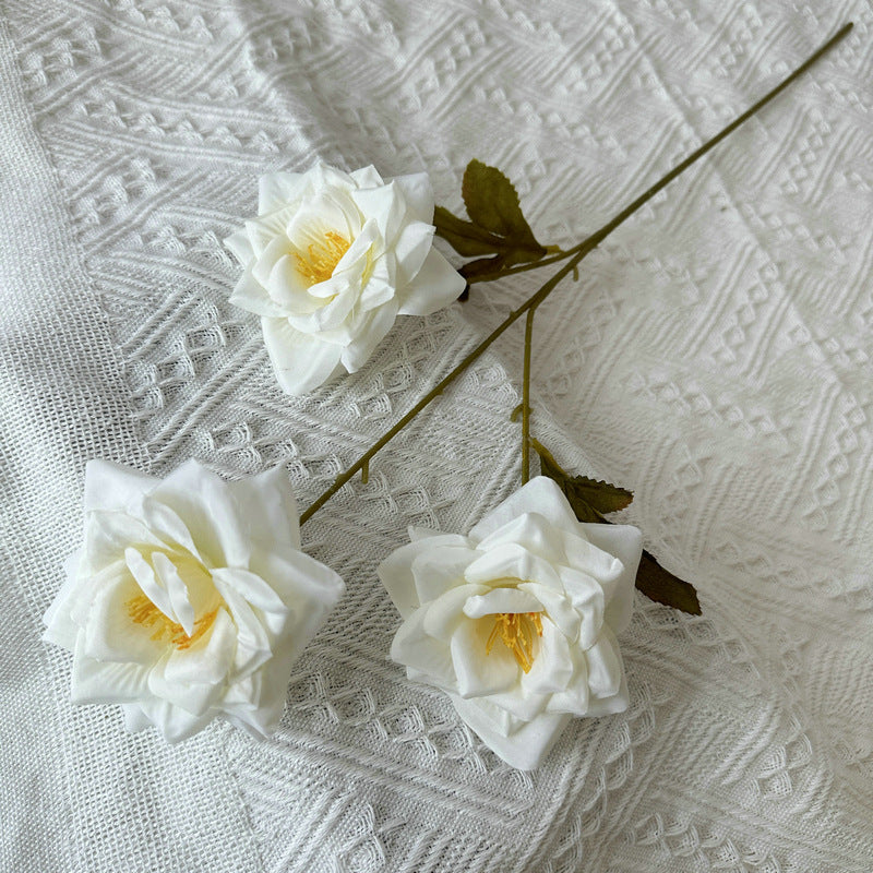 Rose, 3 head, regular texture, 21848713714