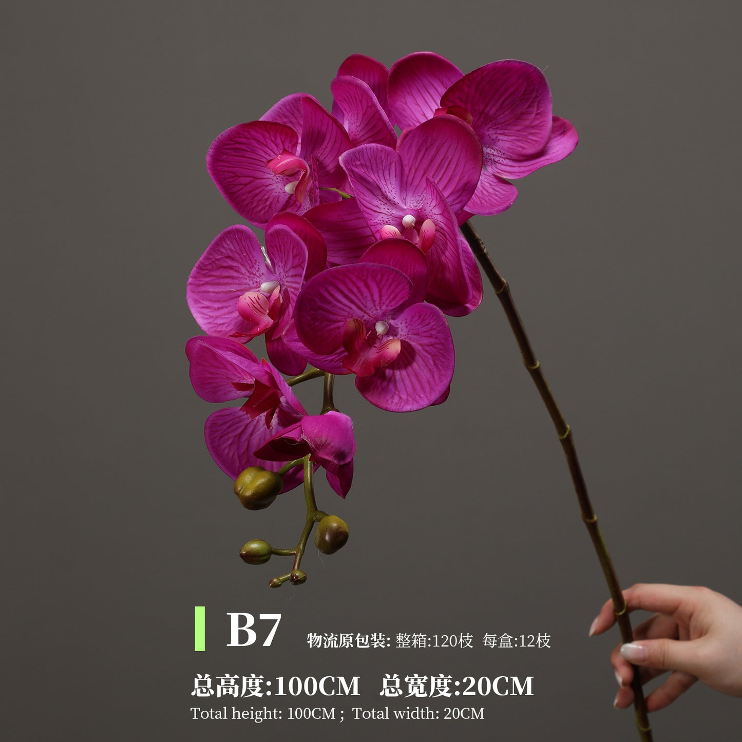 Phalaenopsis, Top quality, real texture artificial flower, 2106300