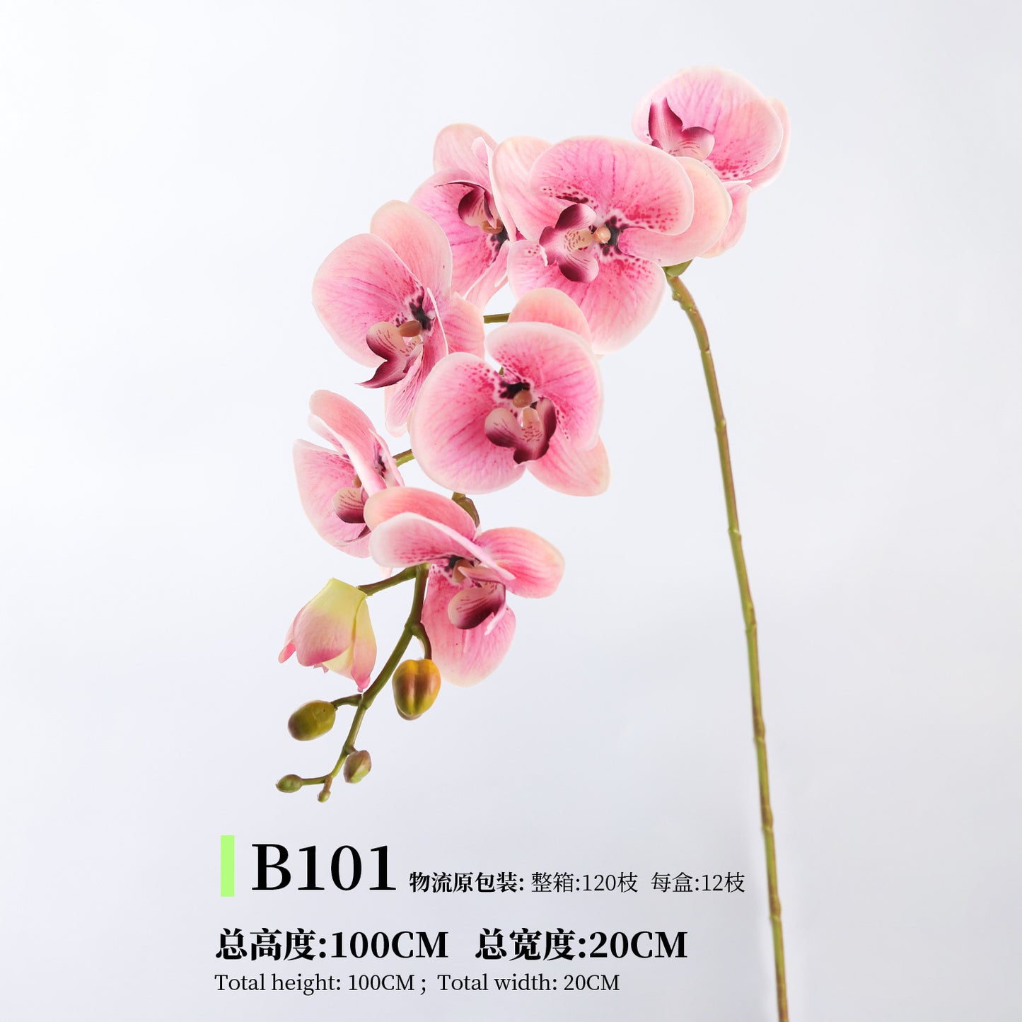 Phalaenopsis, Top quality, real texture artificial flower, 2106300