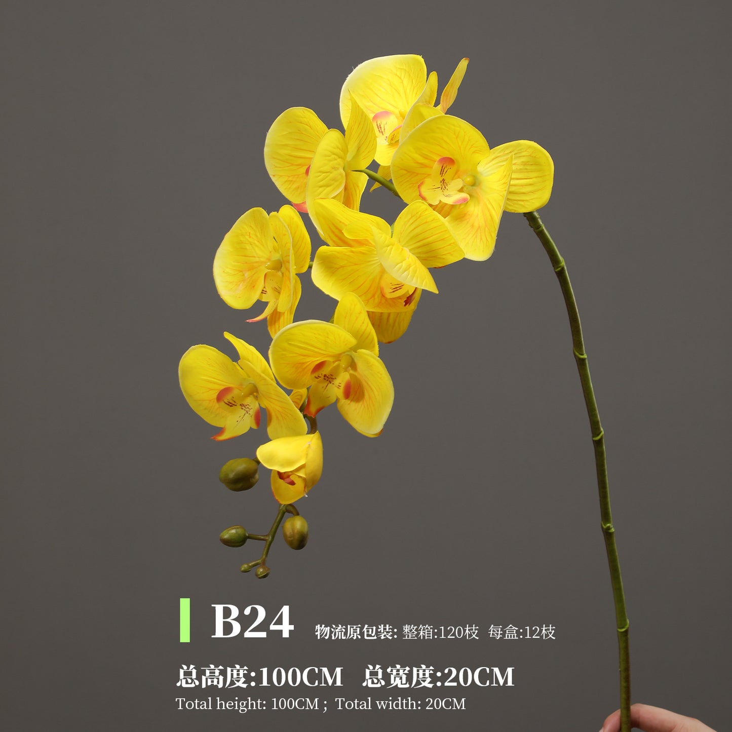 Phalaenopsis, Top quality, real texture artificial flower, 2106300