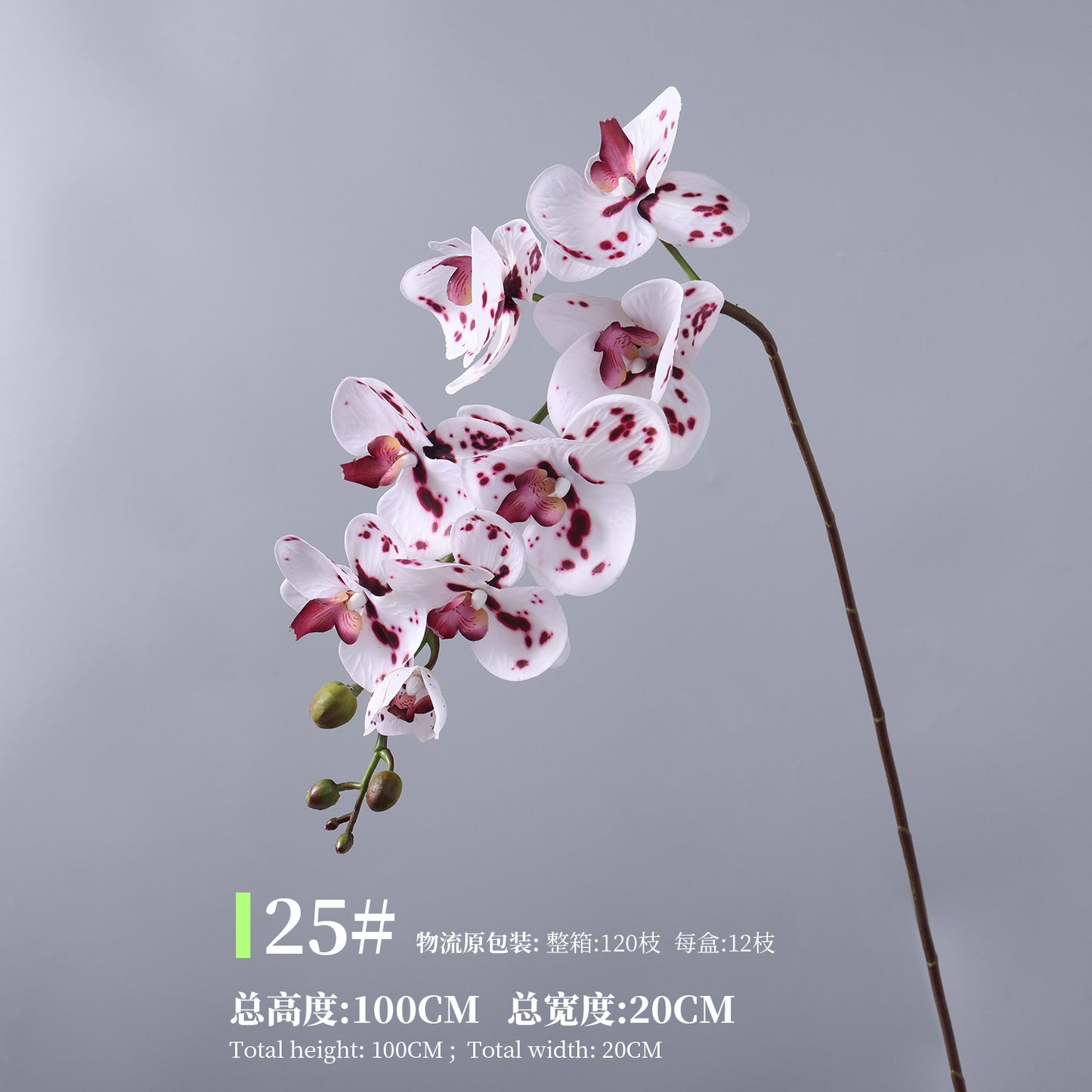 Phalaenopsis, Top quality, real texture artificial flower, 2106300
