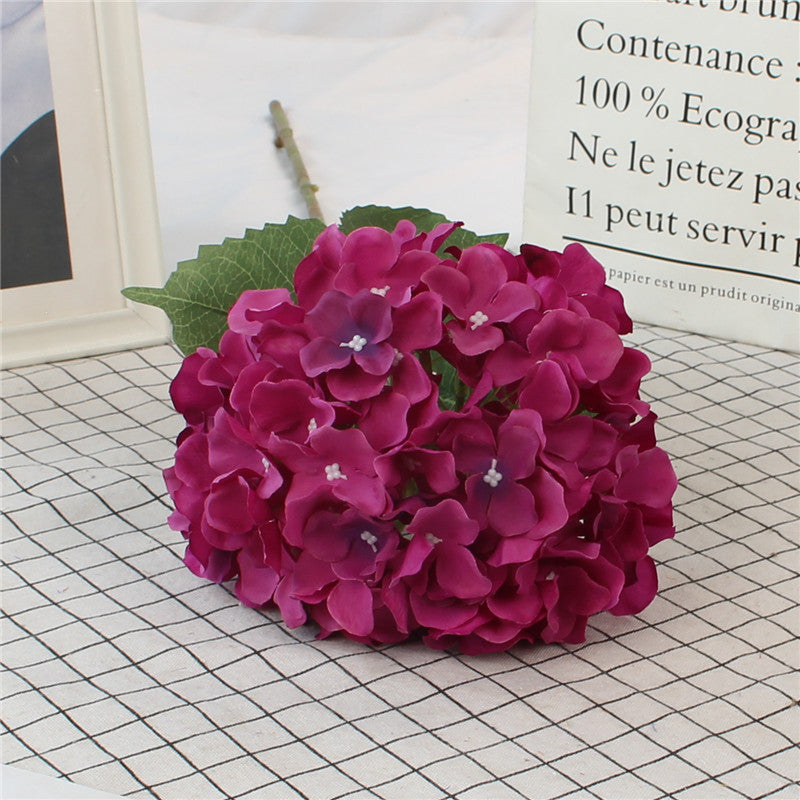 Hydrangeas, all colors, regular texture, 284619