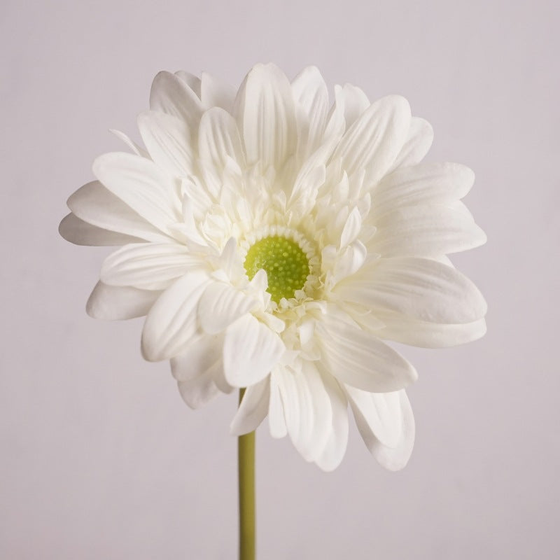 Daisy, large African daisy, real texture artificial flower, 519786