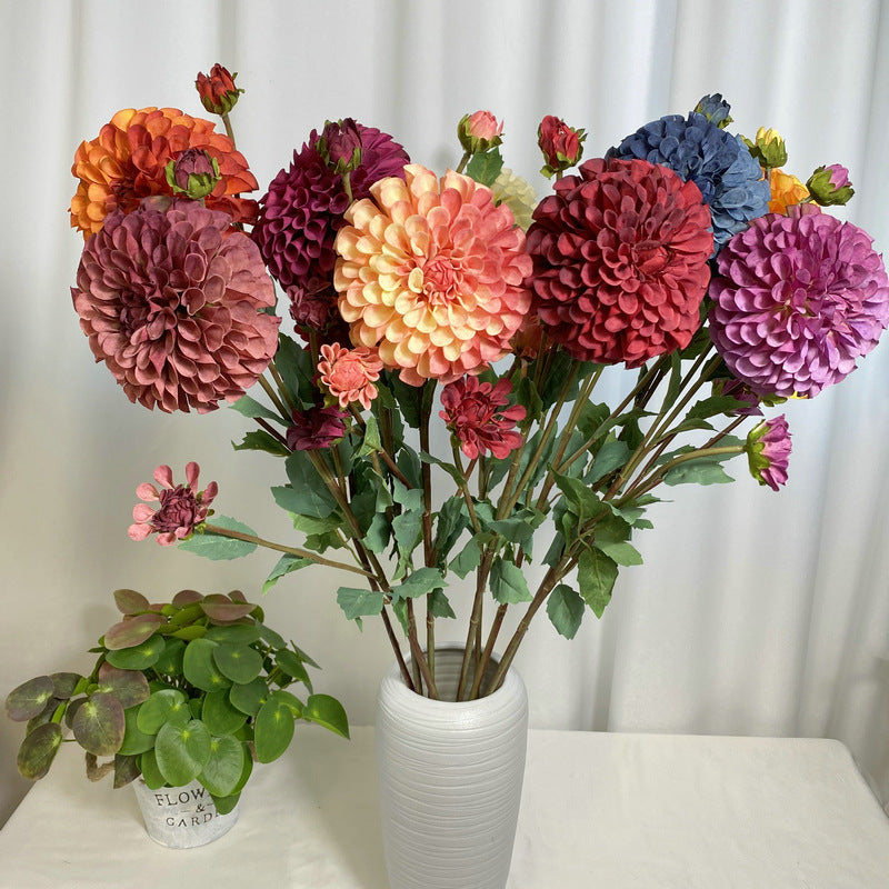 Chinese Dahlia, all colors, regular texture, 3568059