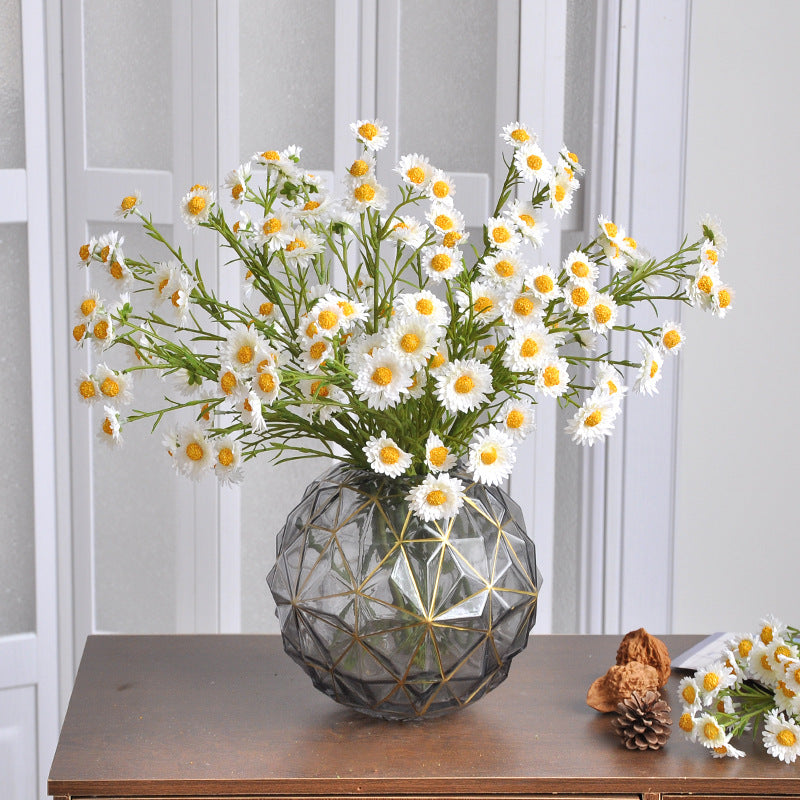 Aster, small daisy, 13heads, yellow core, regular texture, 736206