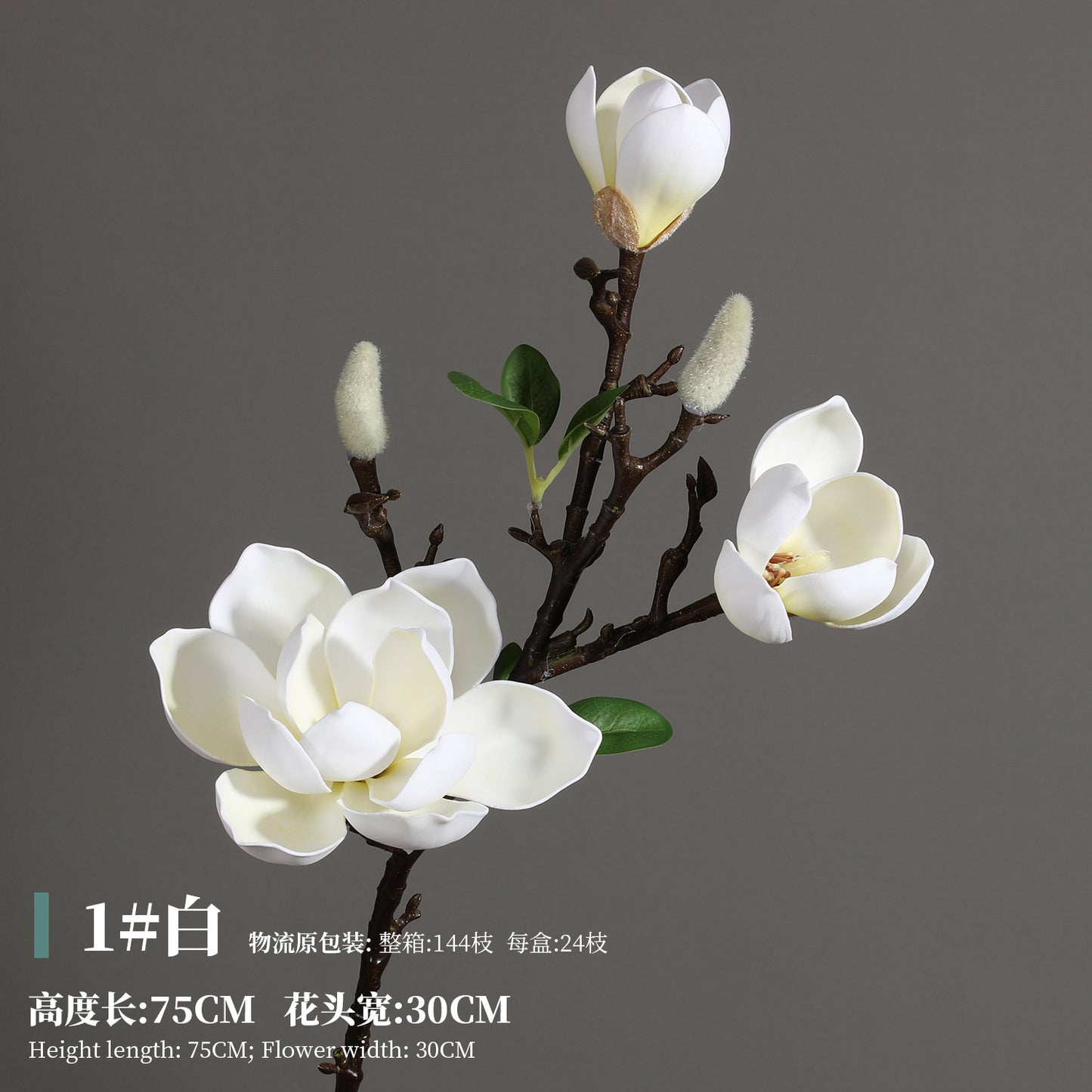 Magnolia, Chinese lily, special texture, 21061601