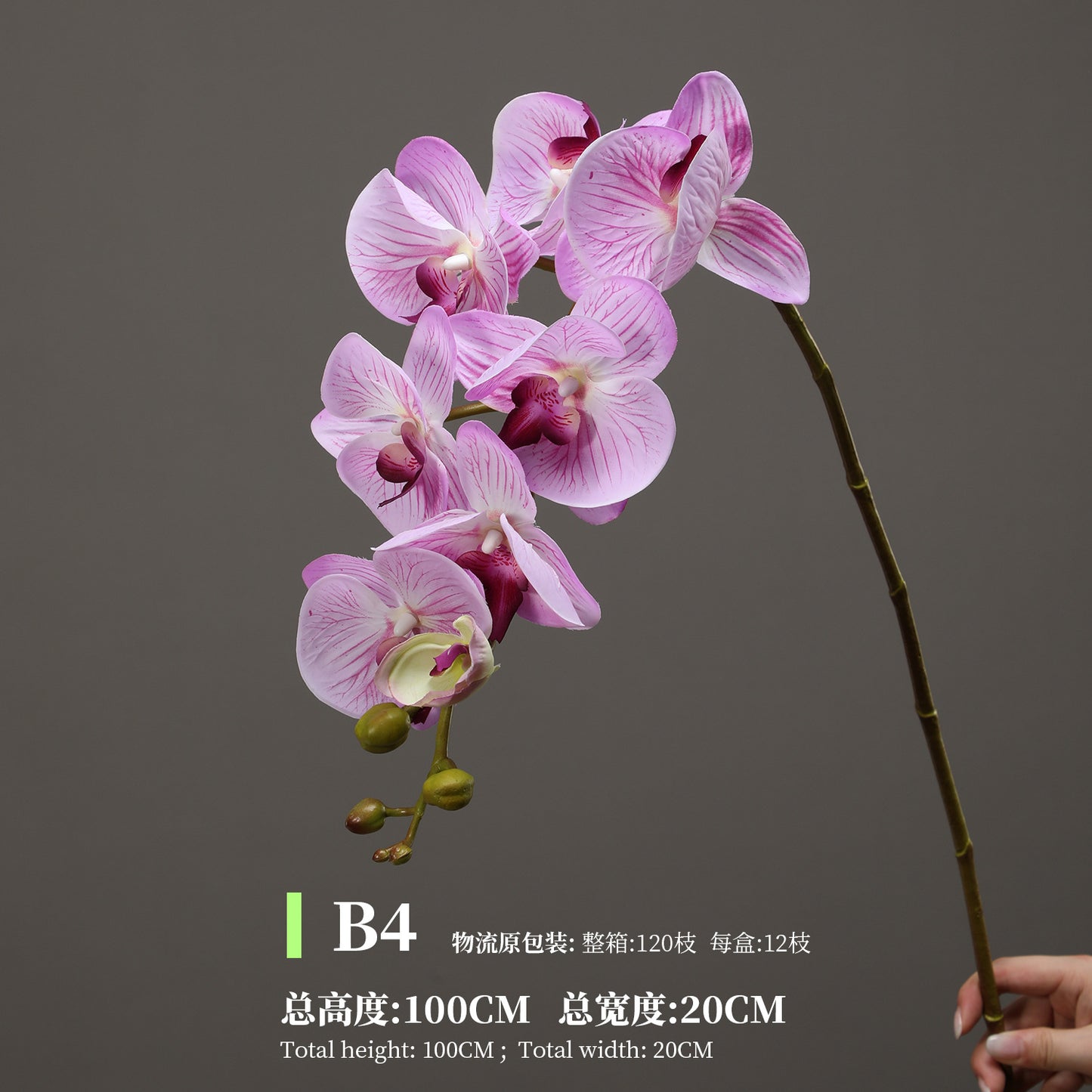 Phalaenopsis, Top quality, real texture artificial flower, 2106300