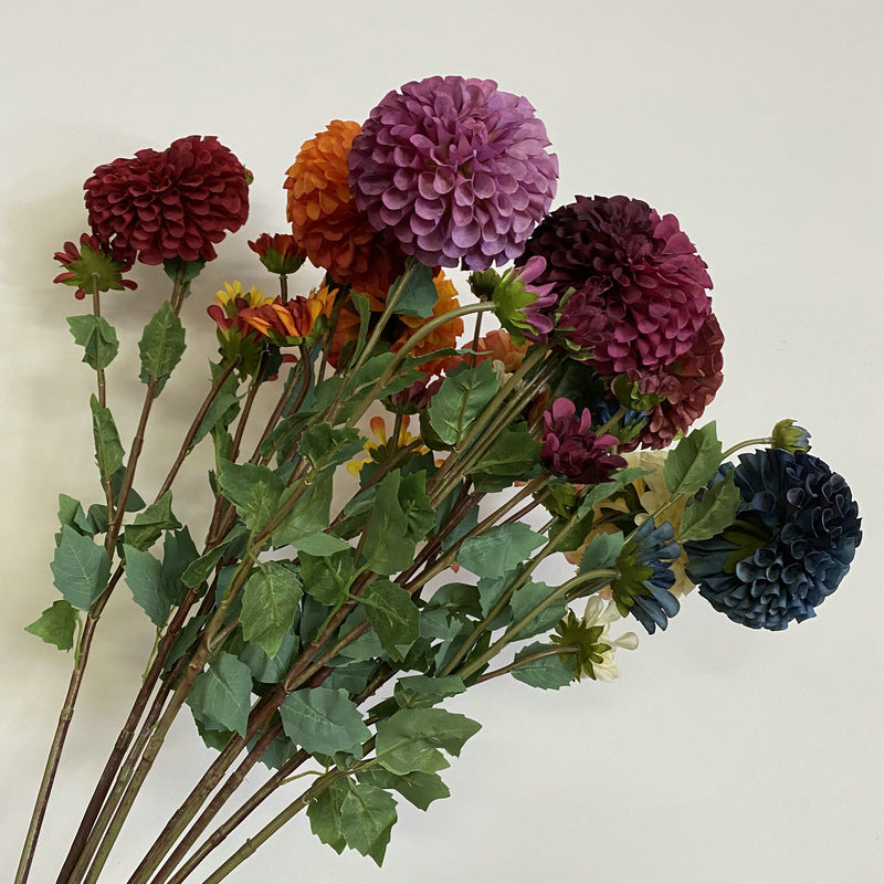 Chinese Dahlia, all colors, regular texture, 3568059