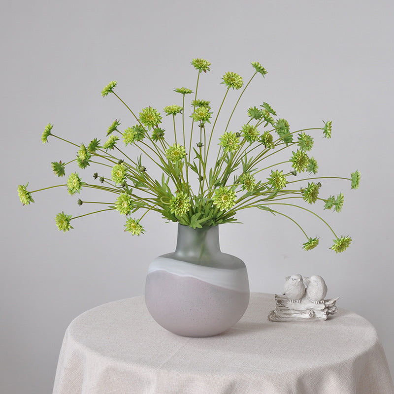 Aster, small daisy, all color, regular texture, 736205