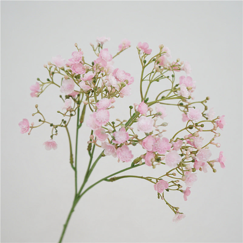 Baby's breath, blossom & seeds, regular texture, 2168