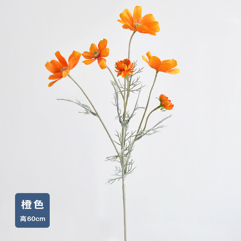 Daisy, garden cosmos, 6 heads, regular texture, 736204