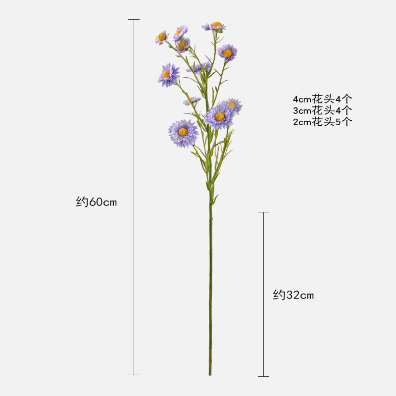 Aster, small daisy, 13heads, yellow core, regular texture, 736206