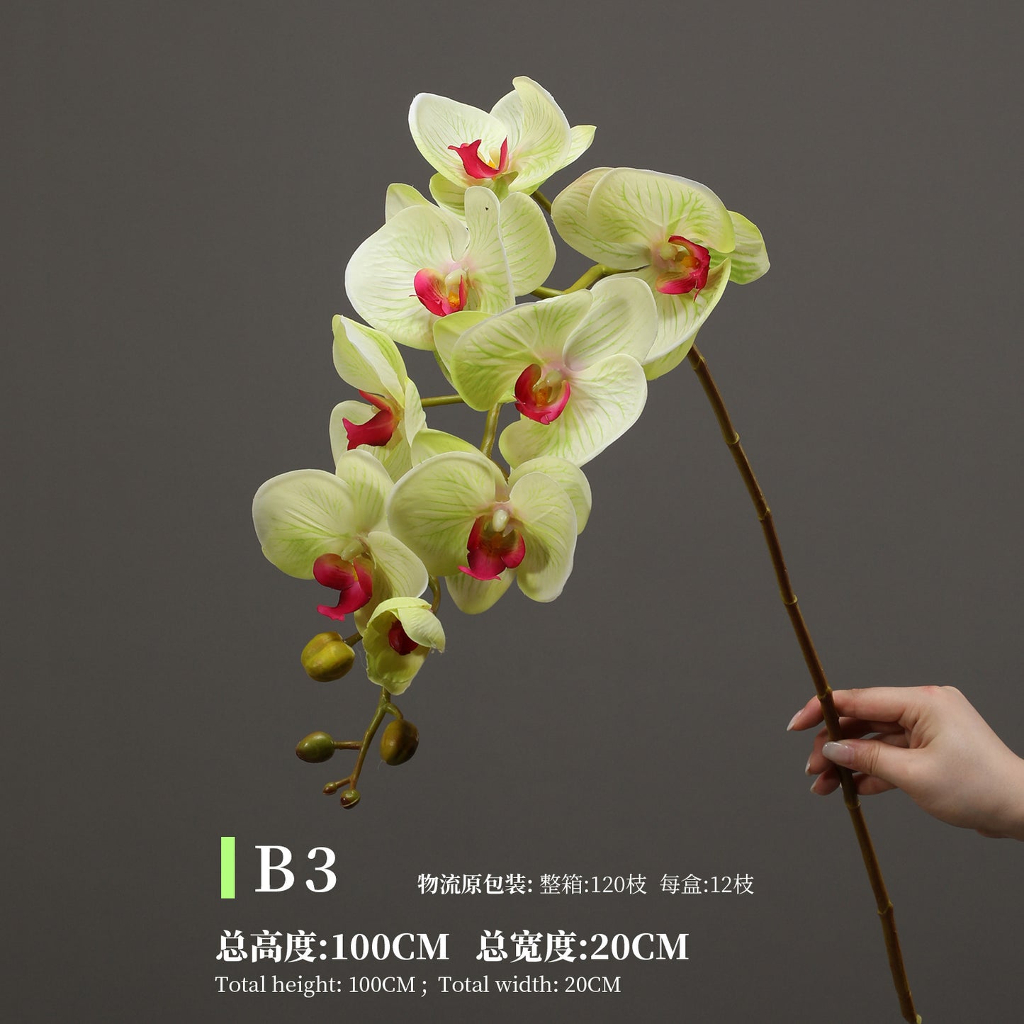 Phalaenopsis, Top quality, real texture artificial flower, 2106300