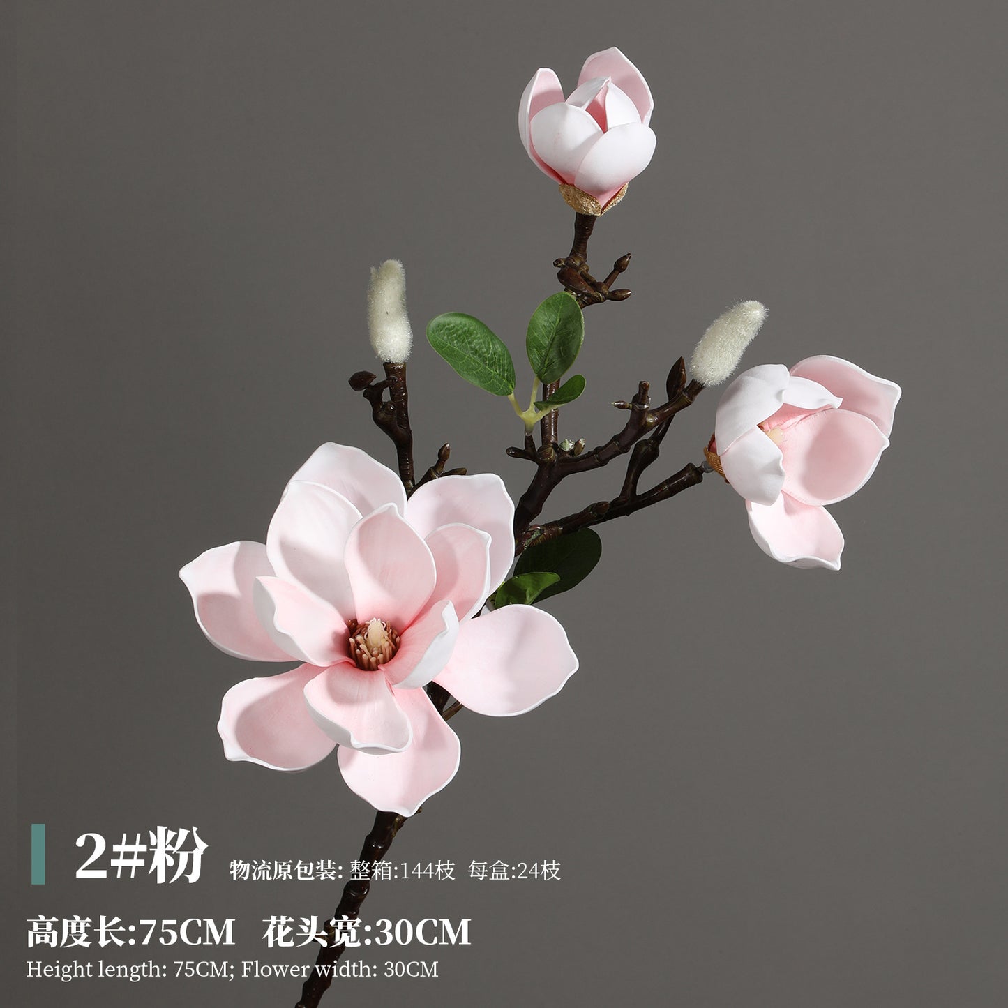 Magnolia, Chinese lily, special texture, 21061601