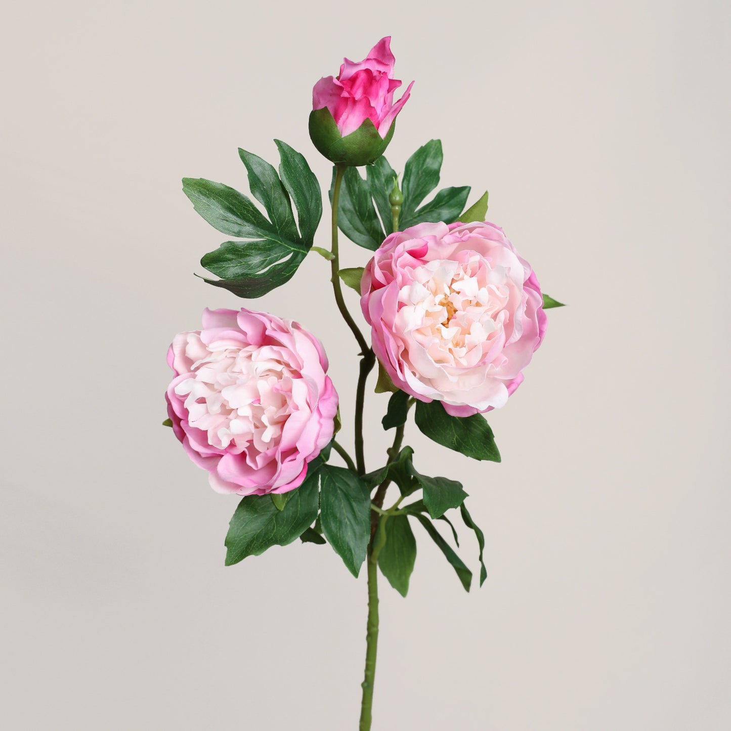 Peony, 3 heads, MOQ 100 each color, real texture artificial flower, 3403P
