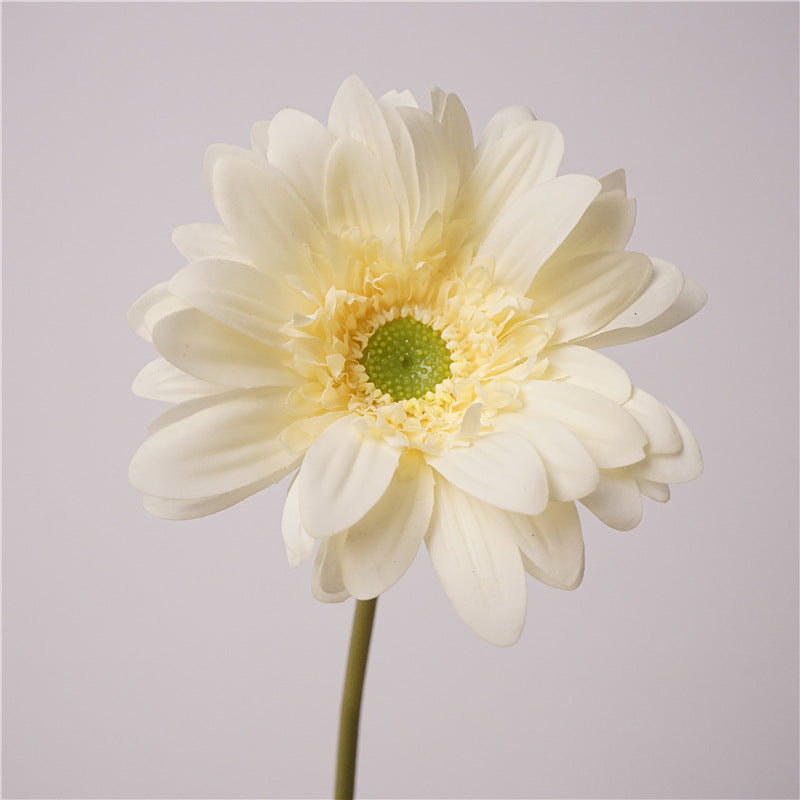 Daisy, large African daisy, real texture artificial flower, 519786