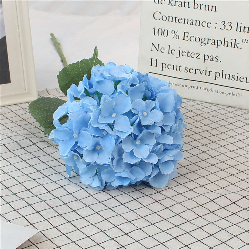 Hydrangeas, all colors, regular texture, 284619