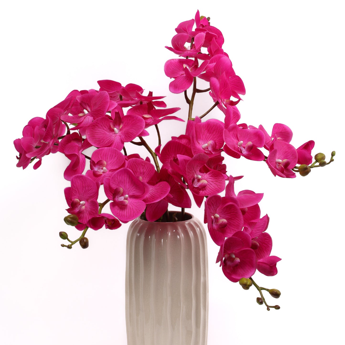 Phalaenopsis, Top quality, real texture artificial flower, 2106300