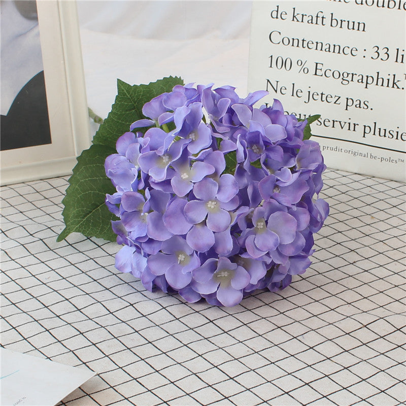 Hydrangeas, all colors, regular texture, 284619