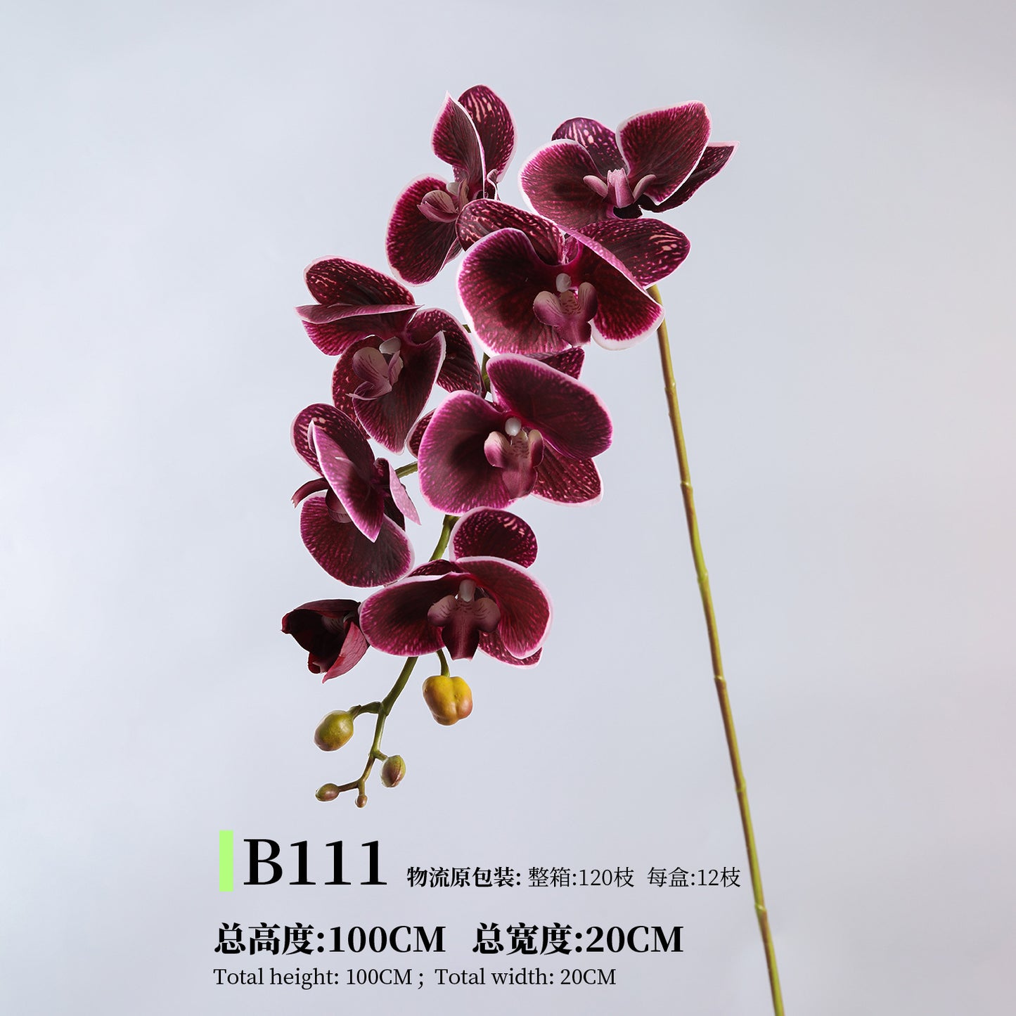 Phalaenopsis, Top quality, real texture artificial flower, 2106300