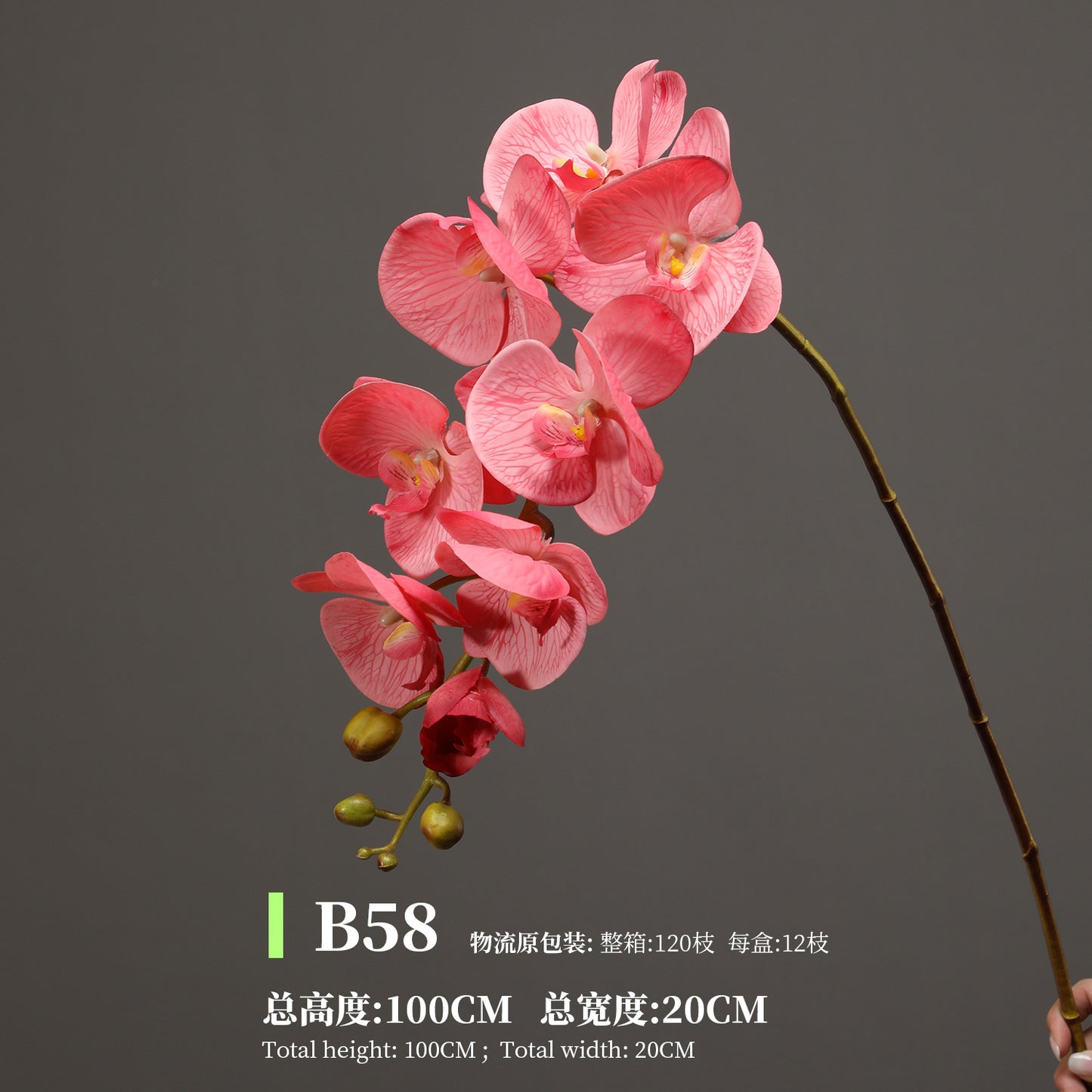 Phalaenopsis, Top quality, real texture artificial flower, 2106300