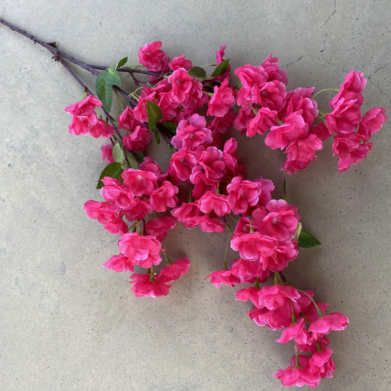Cherry blossom, countryside style, regular texture, 21791616321